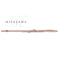 MIYAZAWA BRGS-2REH